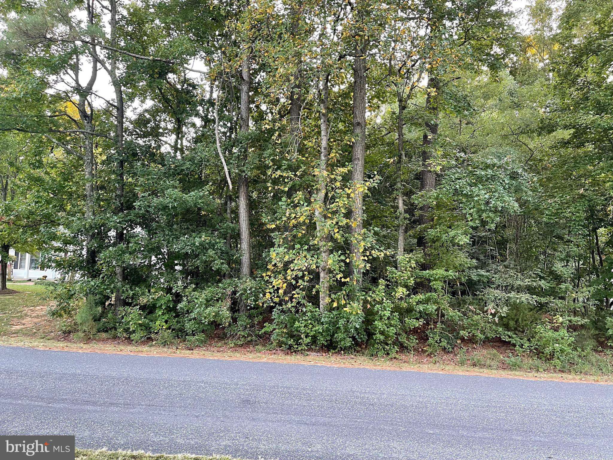 Montross, VA 22520,LOT #39 NORTH INDEPENDENCE DR