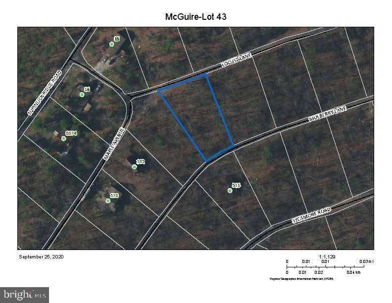 Mount Jackson, VA 22842,LOT 43 LOCUST LANE