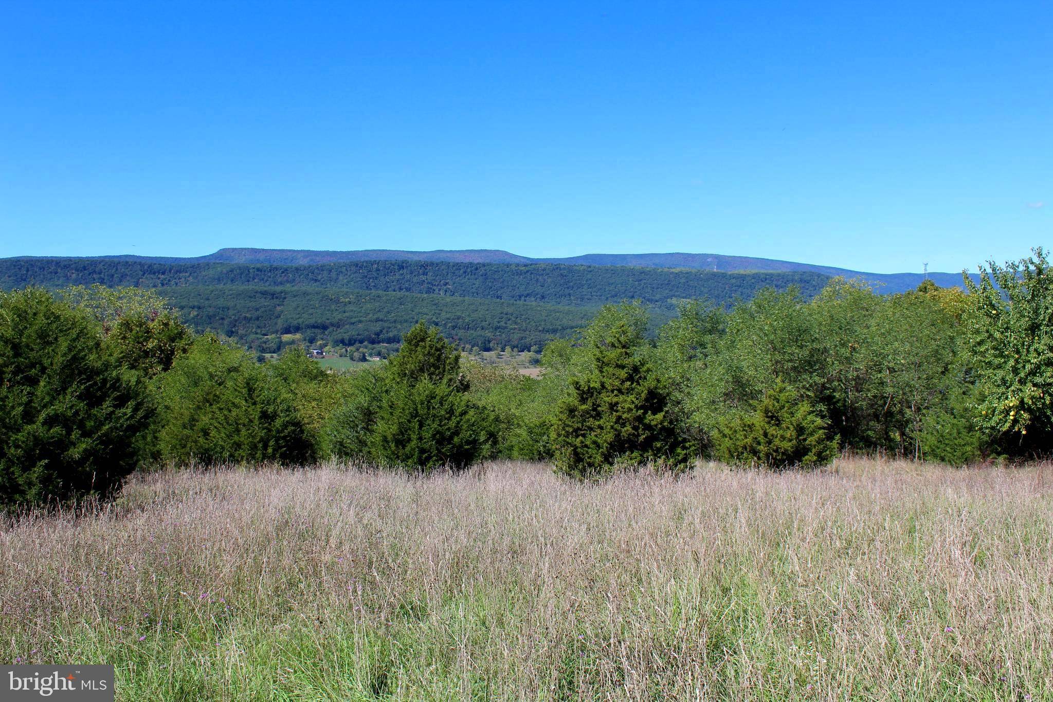 Upper Tract, WV 26866,24 +/- ACRES OFF SARATOGA DR