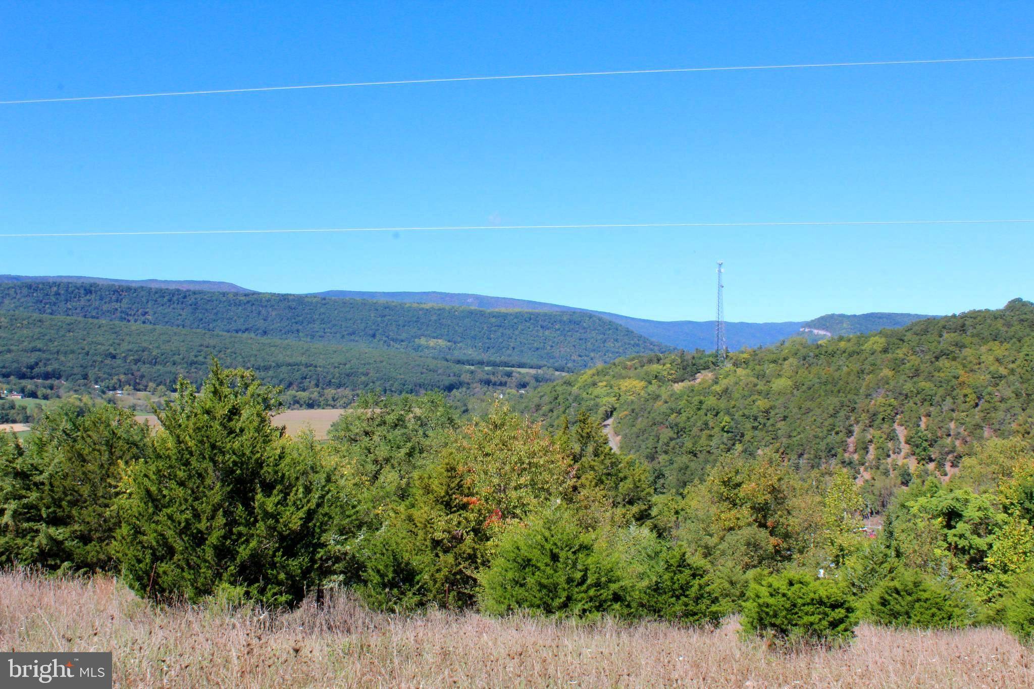 Upper Tract, WV 26866,24 +/- ACRES OFF SARATOGA DR