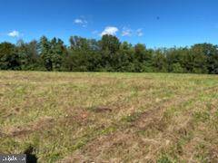 Woodstock, VA 22664,LOT4A HOTTEL