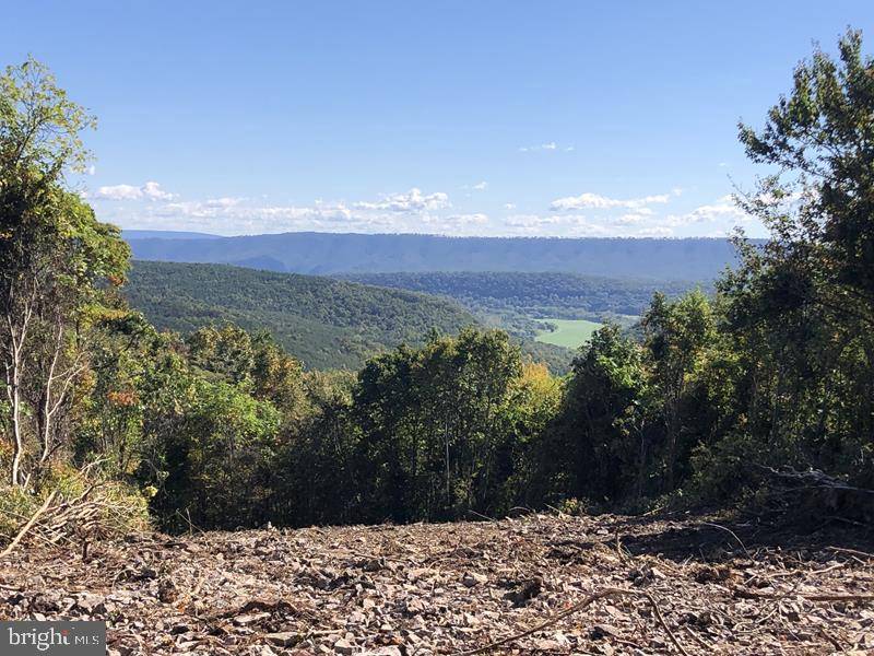 Springfield, WV 26763,91 BLUFFS ON THE POTOMAC