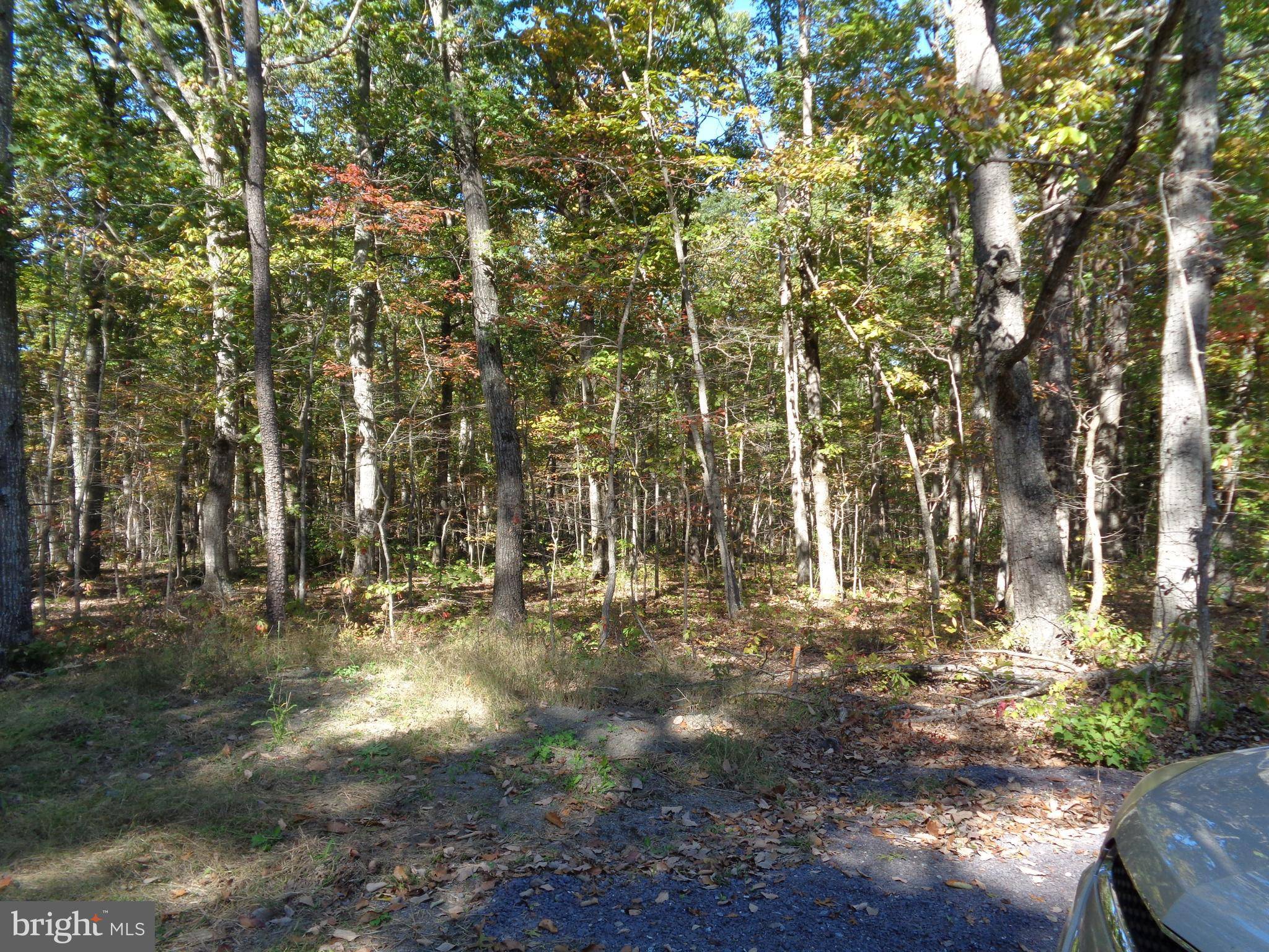 Unionville, VA 22567,LOT 1 INDEPENDENCE