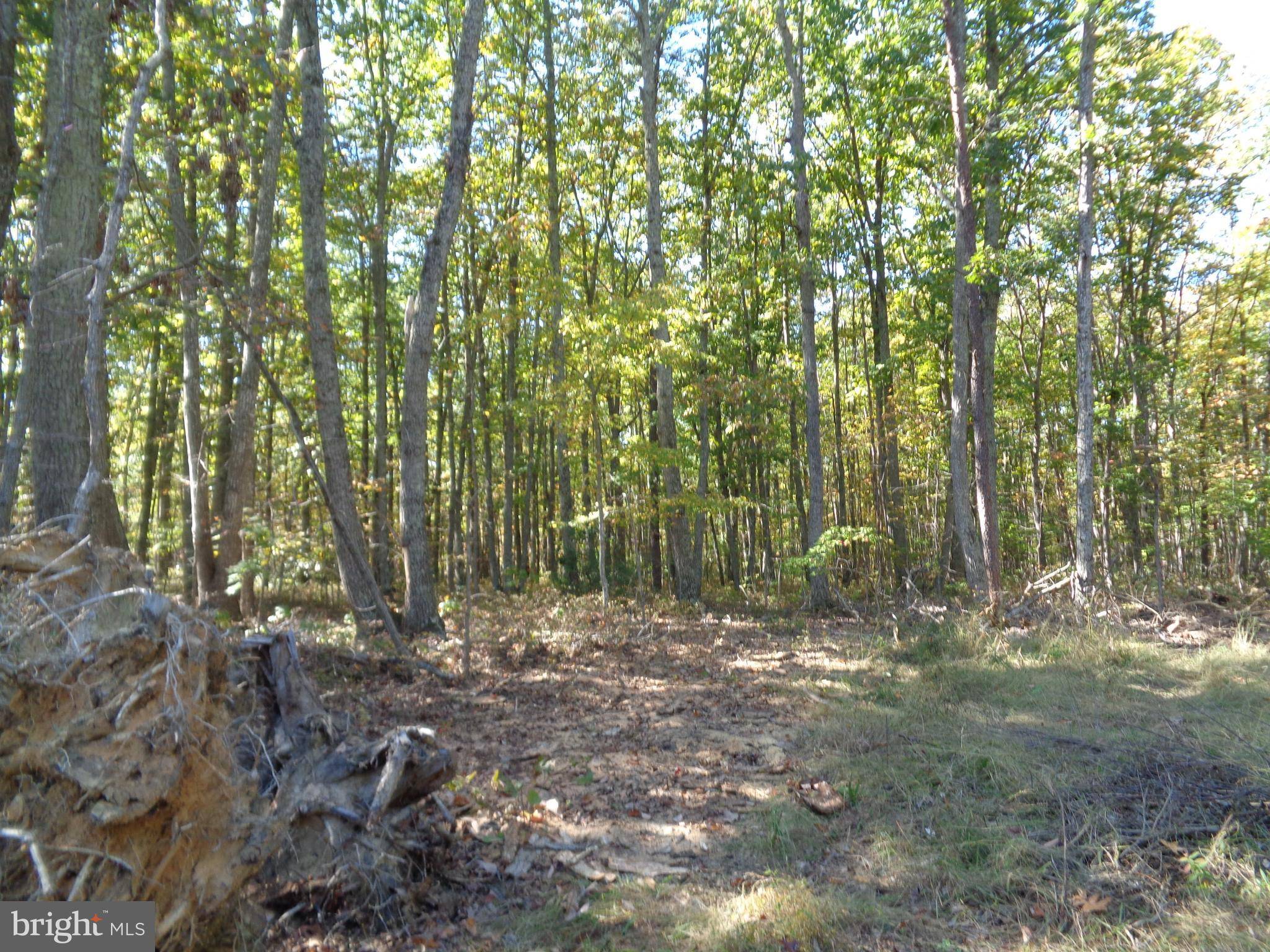 Unionville, VA 22567,LOT 1 INDEPENDENCE