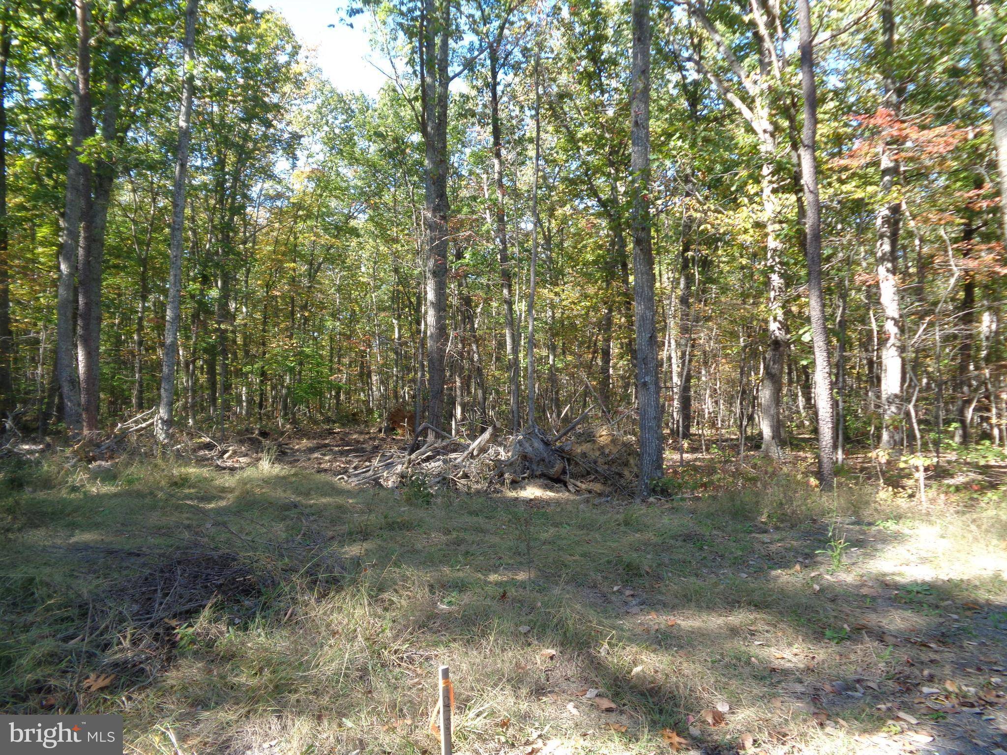 Unionville, VA 22567,LOT 1 INDEPENDENCE