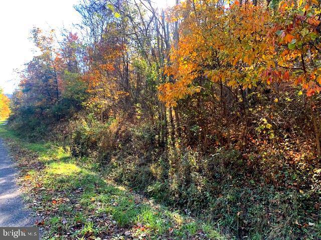 Springfield, WV 26763,BLUFFS ROAD #LOT 28