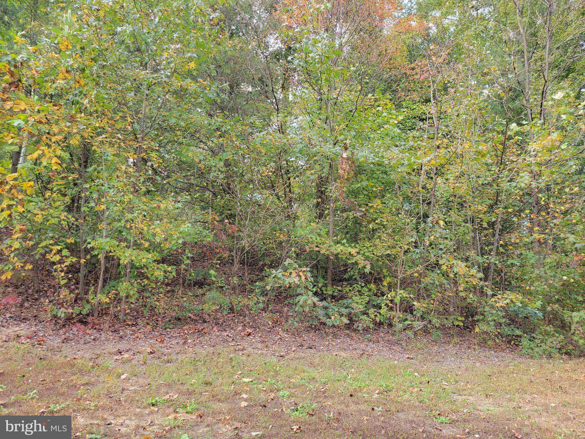 King George, VA 22485,LOT 15 REDBUD LN