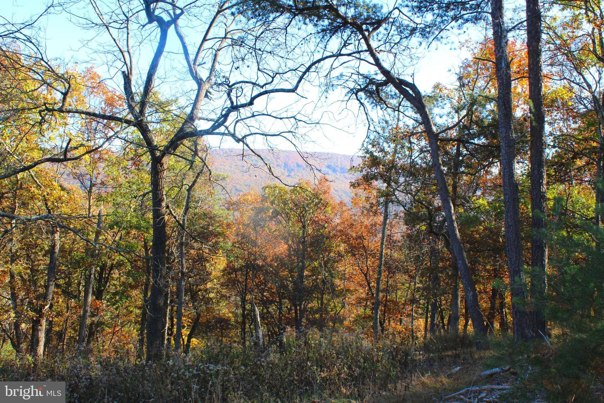 Petersburg, WV 26847,19.63 ACRES MT LAKE RETREAT DR