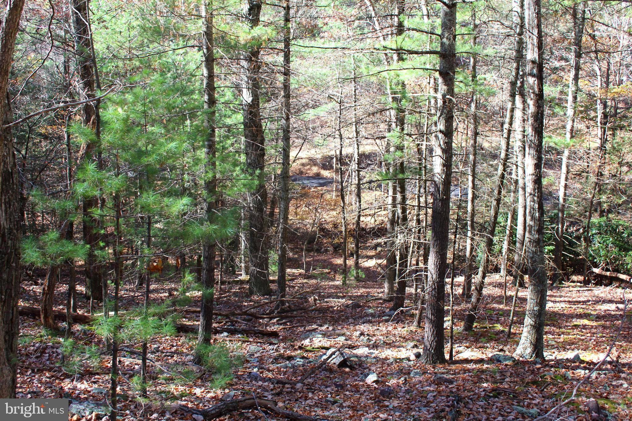 Upper Tract, WV 26866,31.80 ACRES GREENAWALT GAP