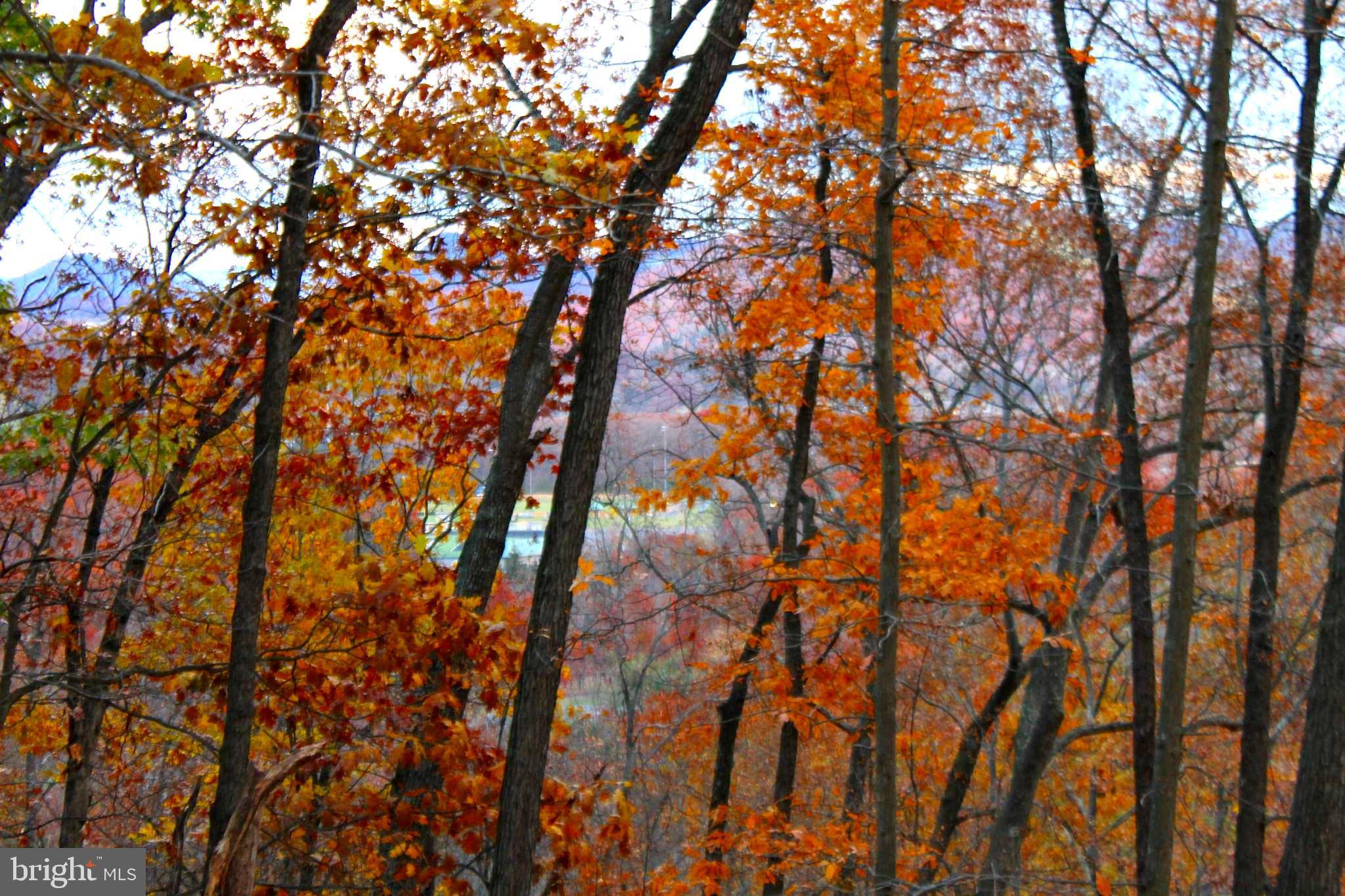 Keyser, WV 26726,5.07 AC GREAT OAK VALLEY ROAD