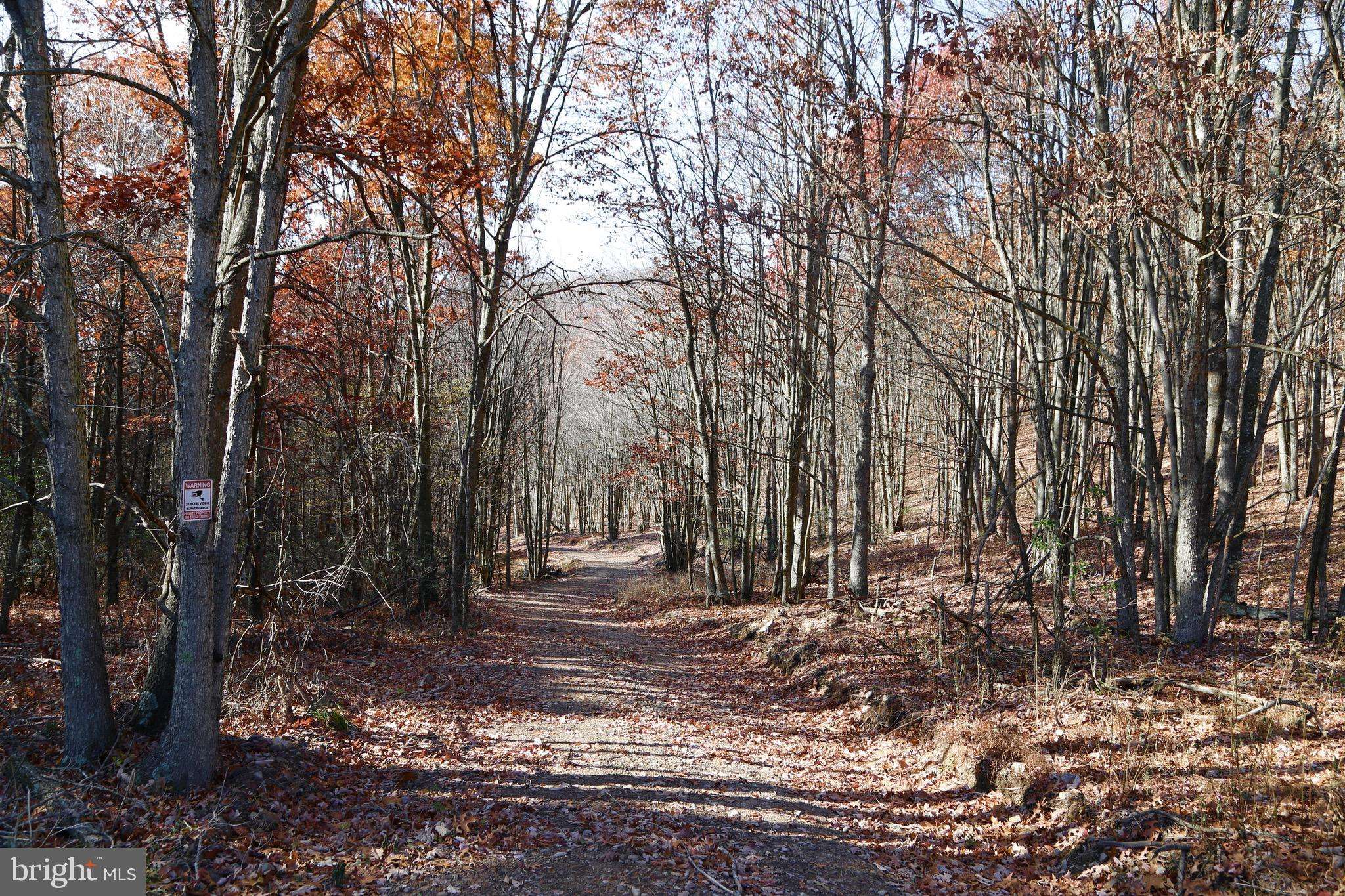 Mathias, WV 26812,TRACT 9 EAGLE LANE