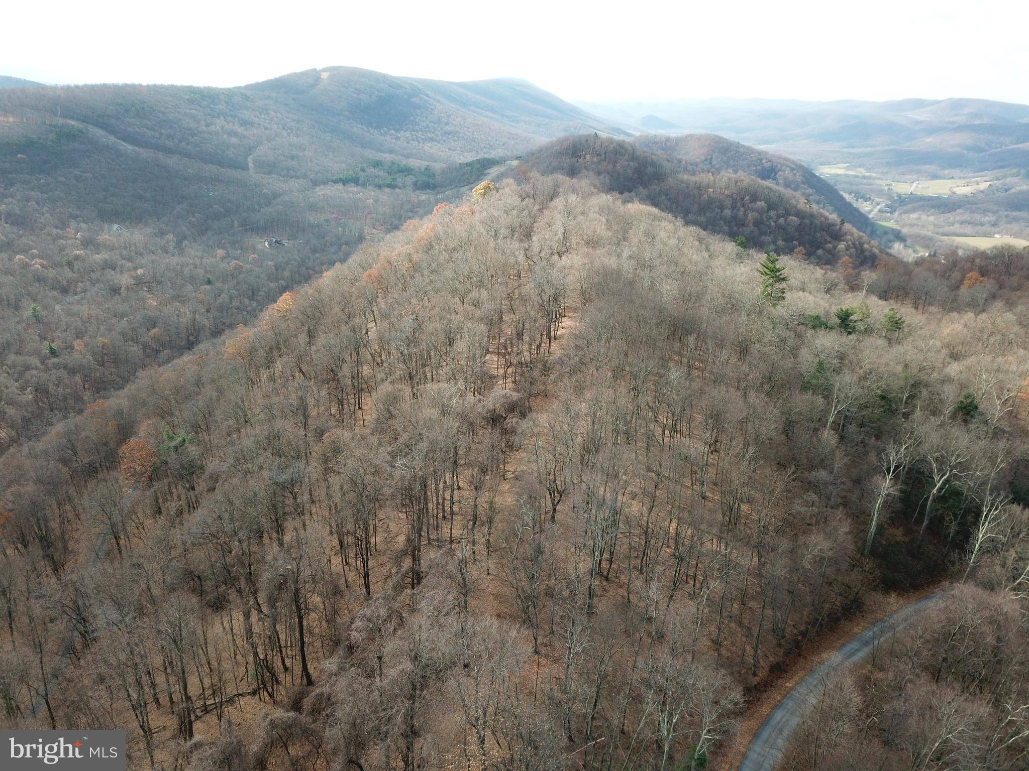 New Creek, WV 26743,LOT 39 BEAR RIDGE RD