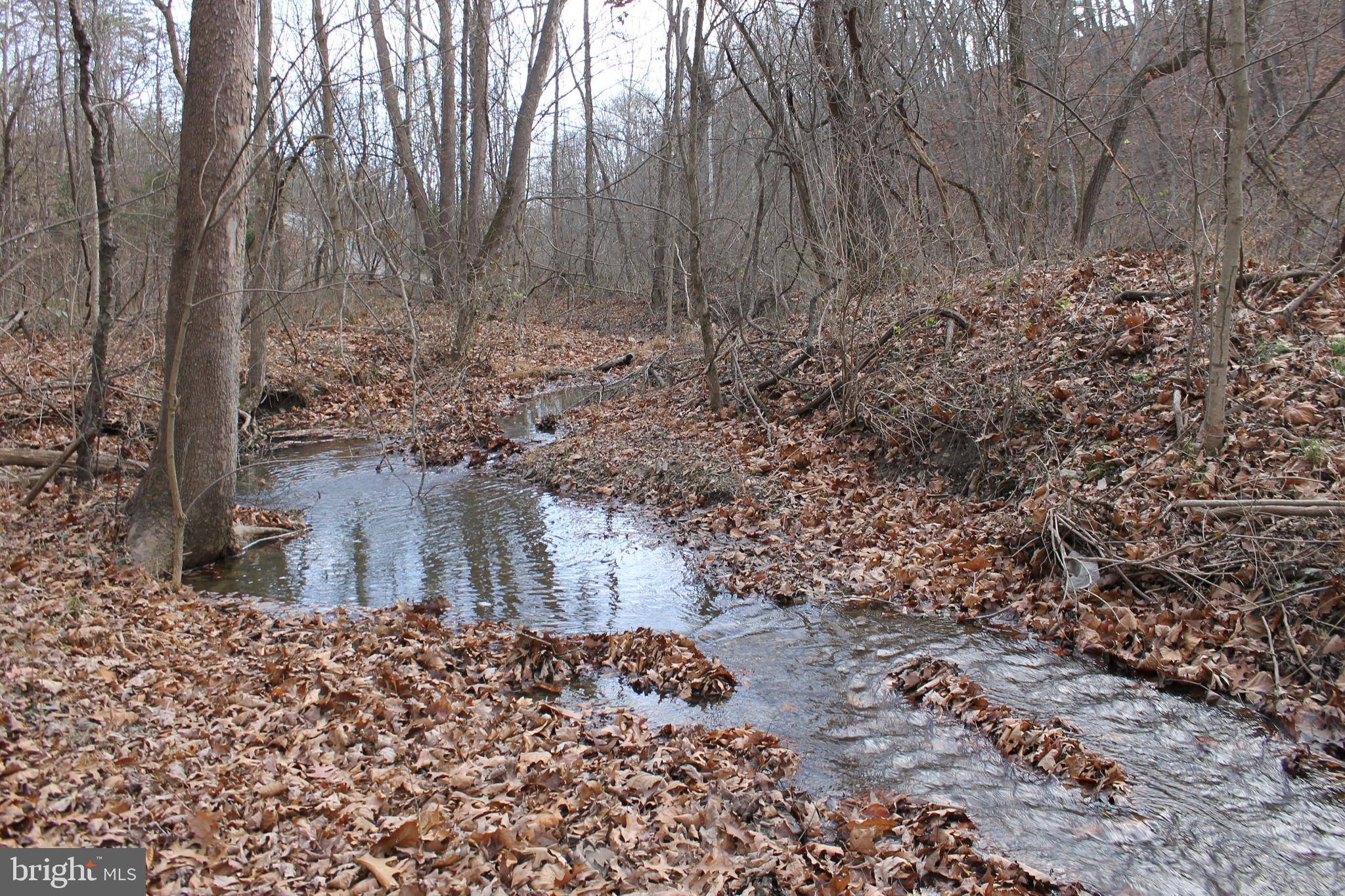 Springfield, WV 26763,LOT 36 LAKE FERNDALE DRIVE