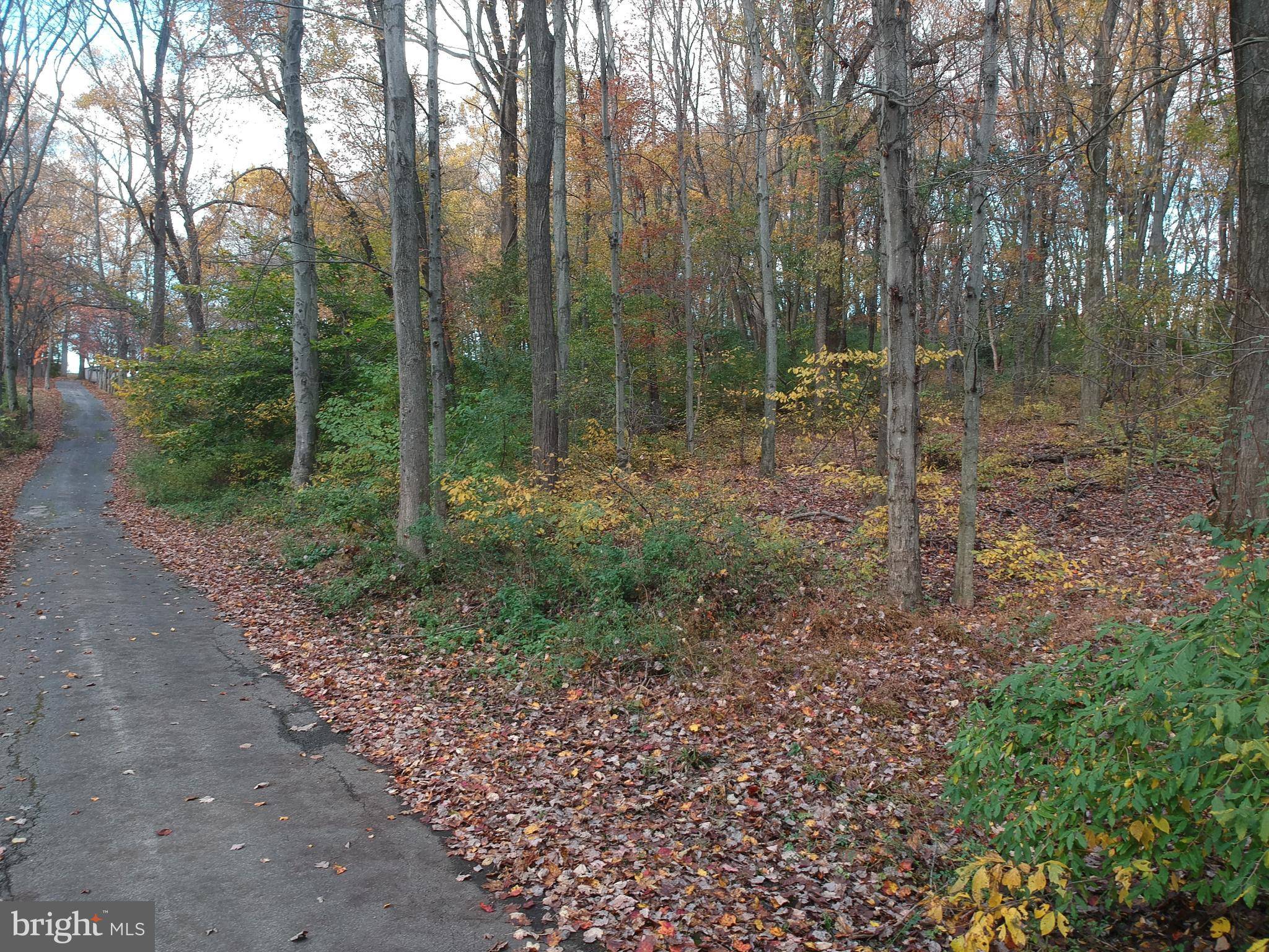 West Chester, PA 19382,675-LOT 2 BRINTONS BRIDGE RD