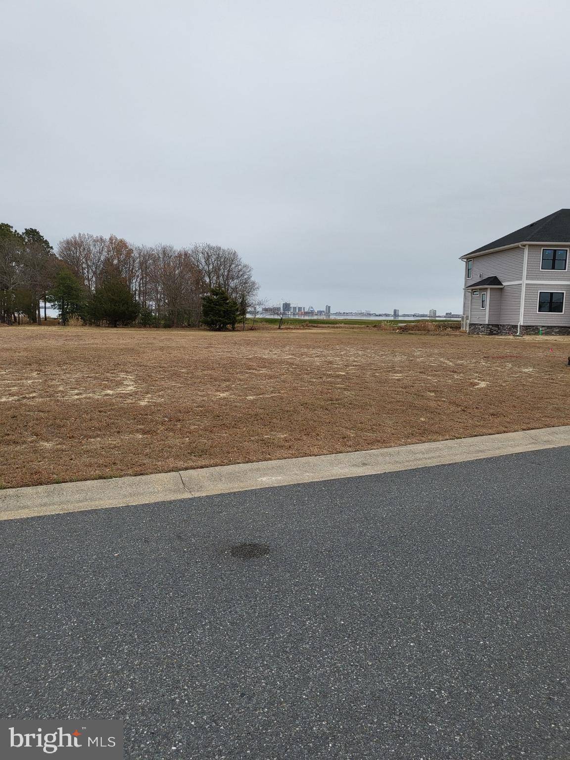 Bishopville, MD 21813,0 FOX RIDGE CT #LOT 37