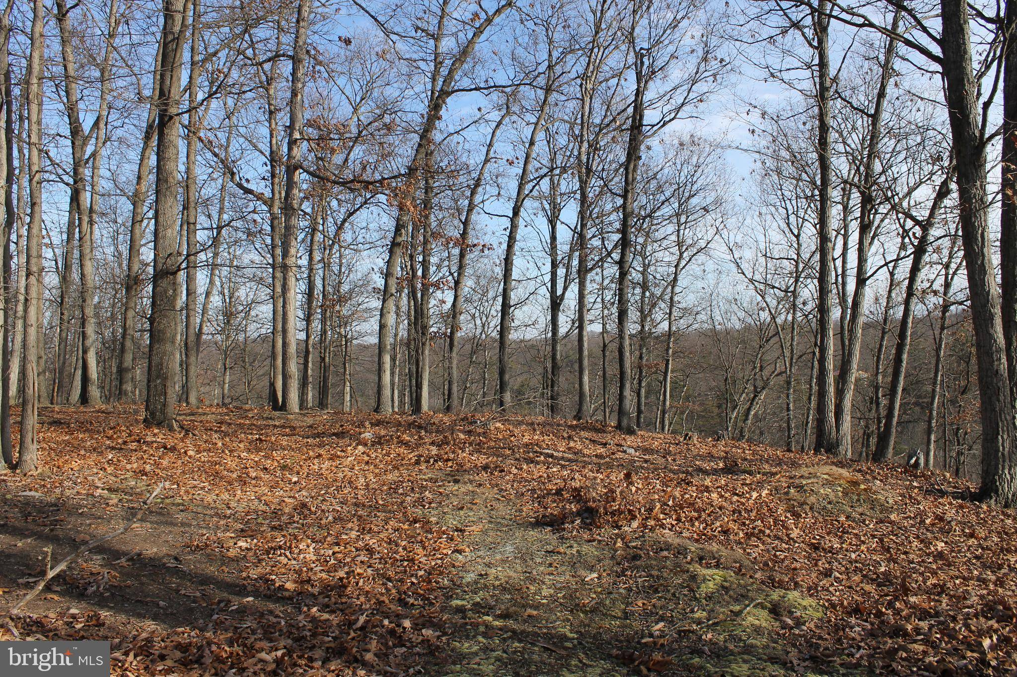 Fort Ashby, WV 26719,LOT 50 MILL RUN ROAD