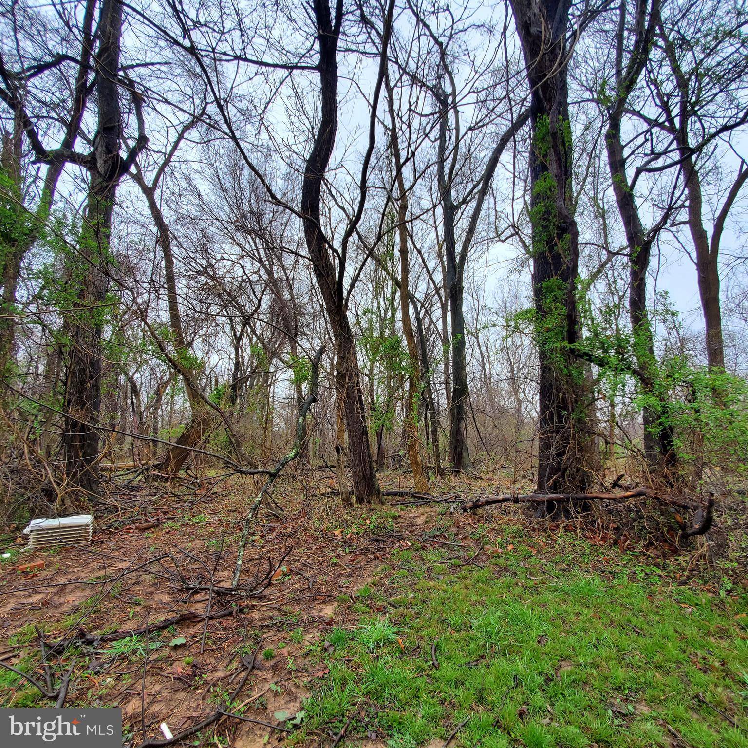 Harpers Ferry, WV 25425,LOT 38 OVERLOOK VIEW CT