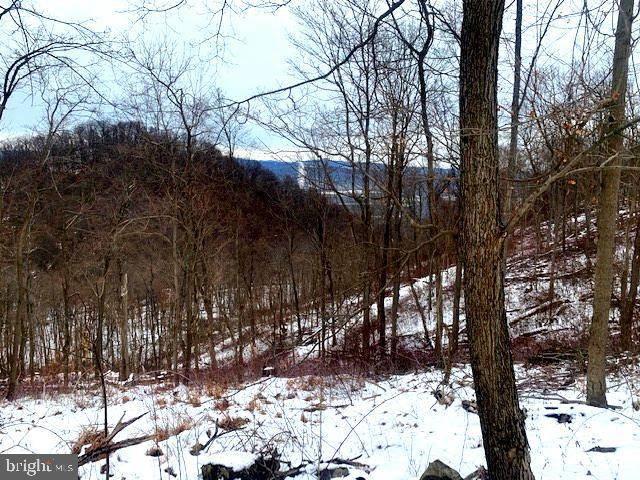 Ridgeley, WV 26753,LOT V HIGH POINT ACRES