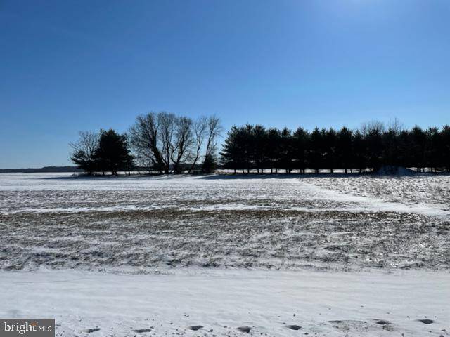 Galena, MD 21635,GRIFFITH DR #LOT 34