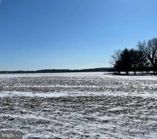 Galena, MD 21635,GRIFFITH DR #LOT #35