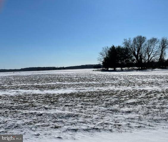 Galena, MD 21635,GRIFFITH DR #LOT #35