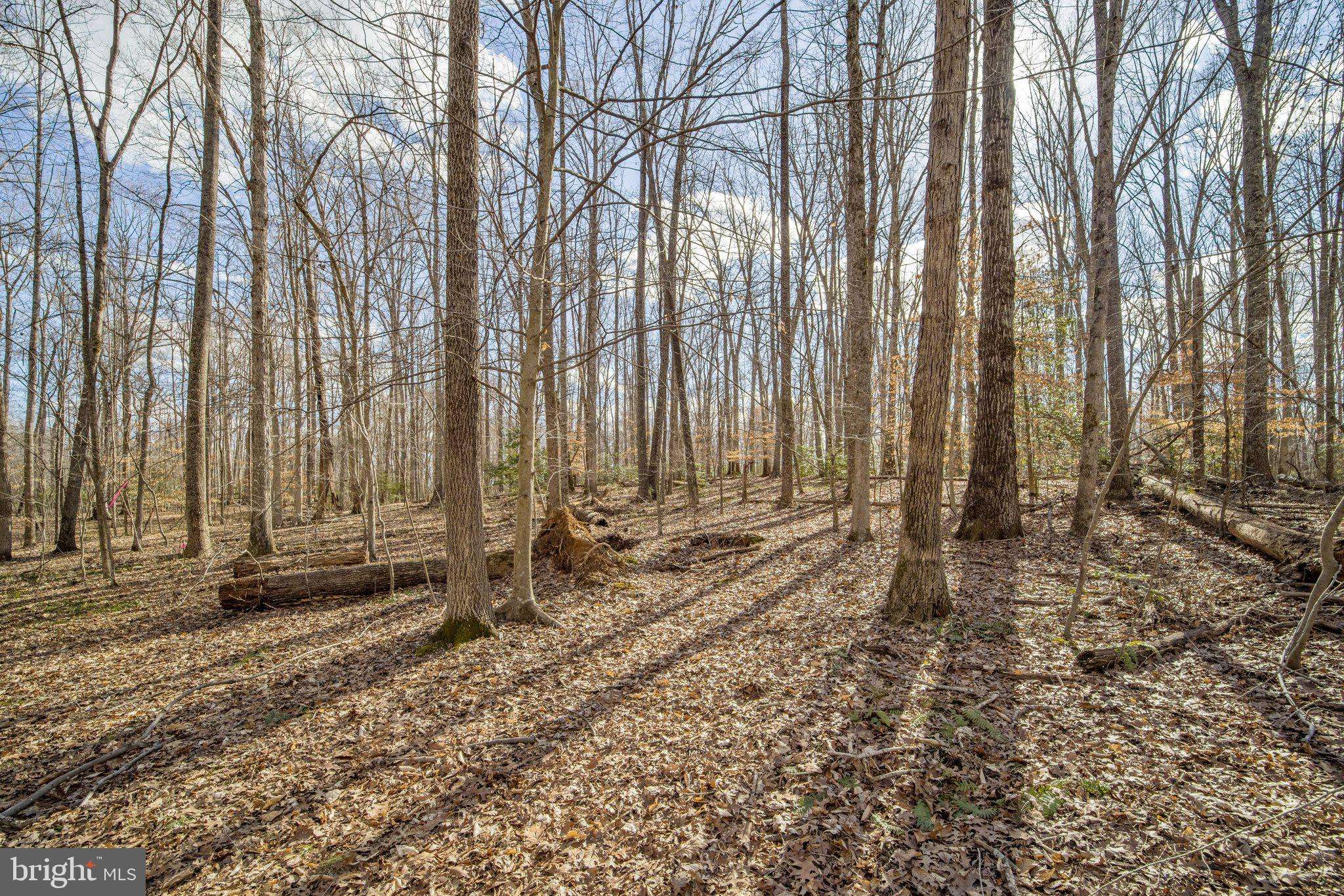 Jeffersonton, VA 22724,0 DREAMLAND RD #A