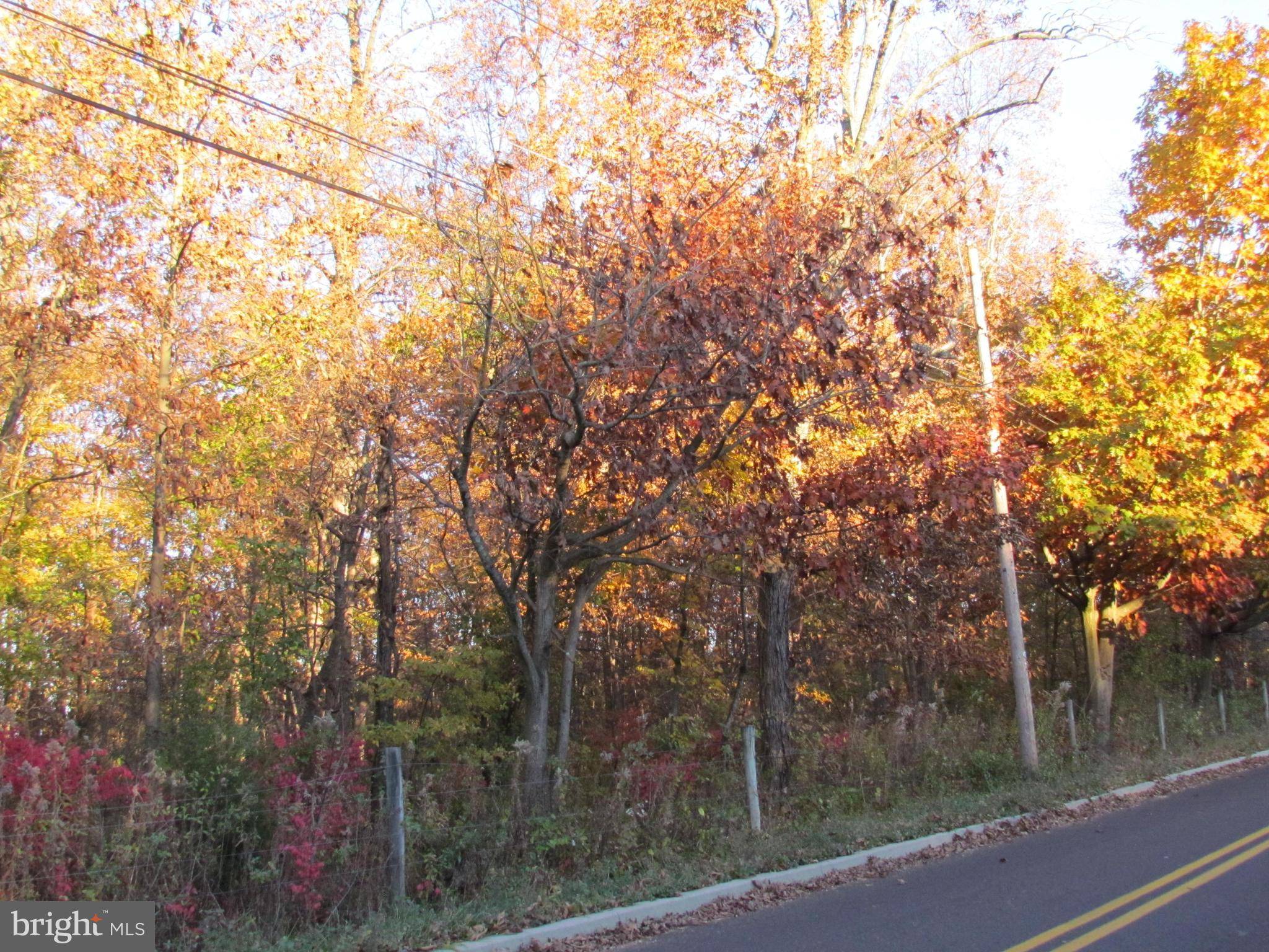 Pipersville, PA 18947,LOT 1 APPLEBUTTER RD