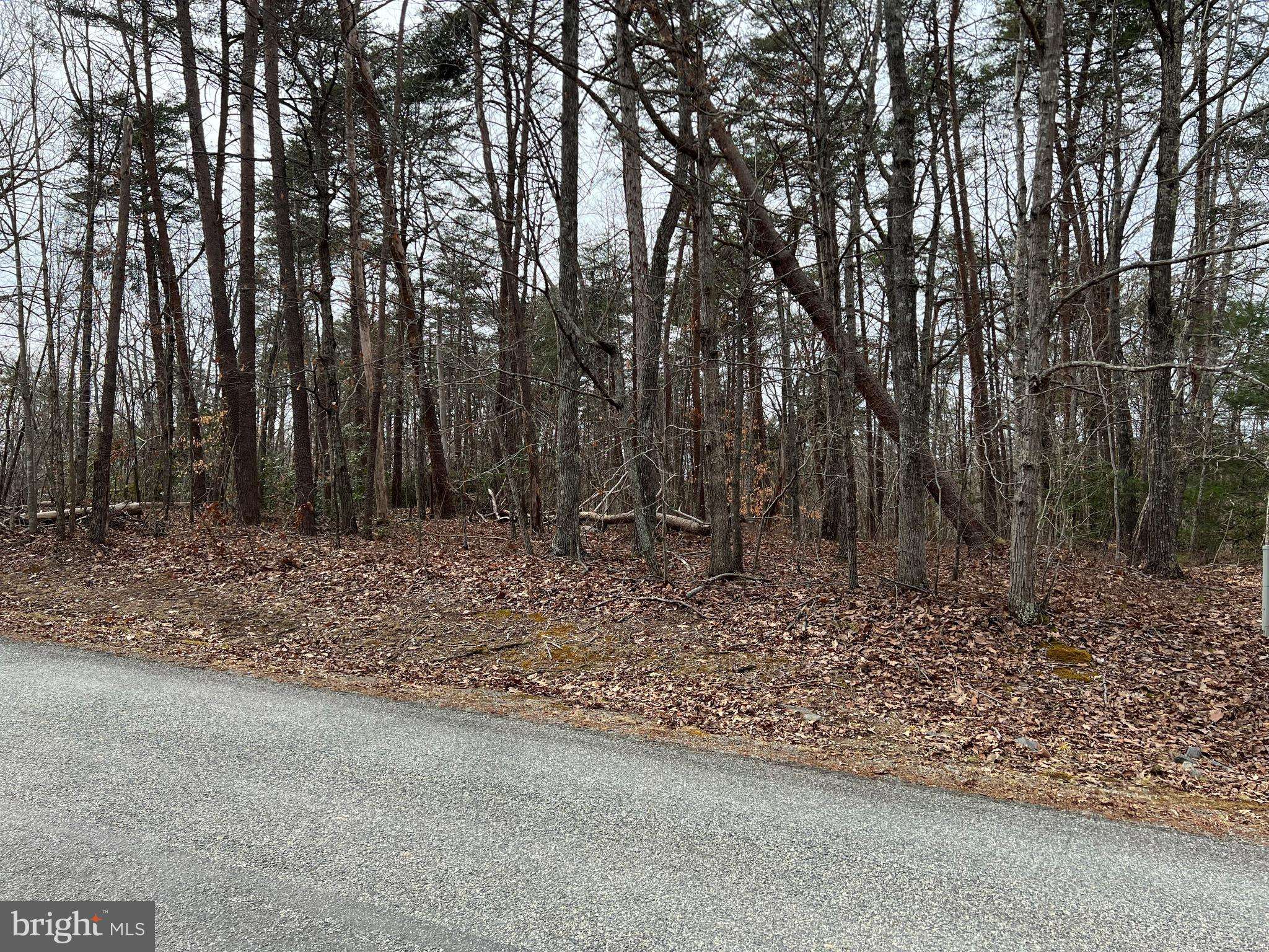 Mineral, VA 23117,LOT 99 PINE HARBOUR DR