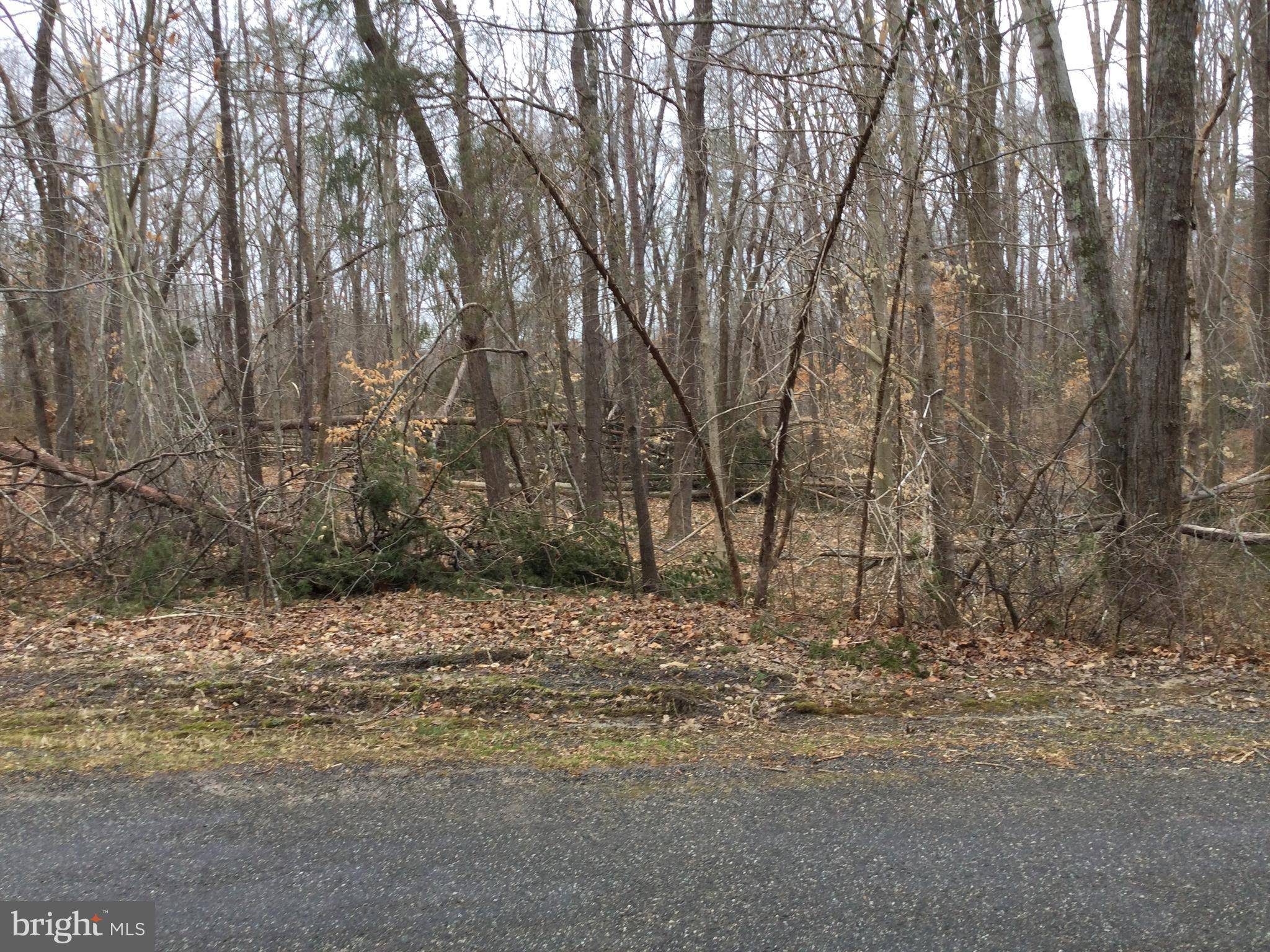 Mineral, VA 23117,SOUTH BLUE WATER BLVD #LOT NUMBER 29