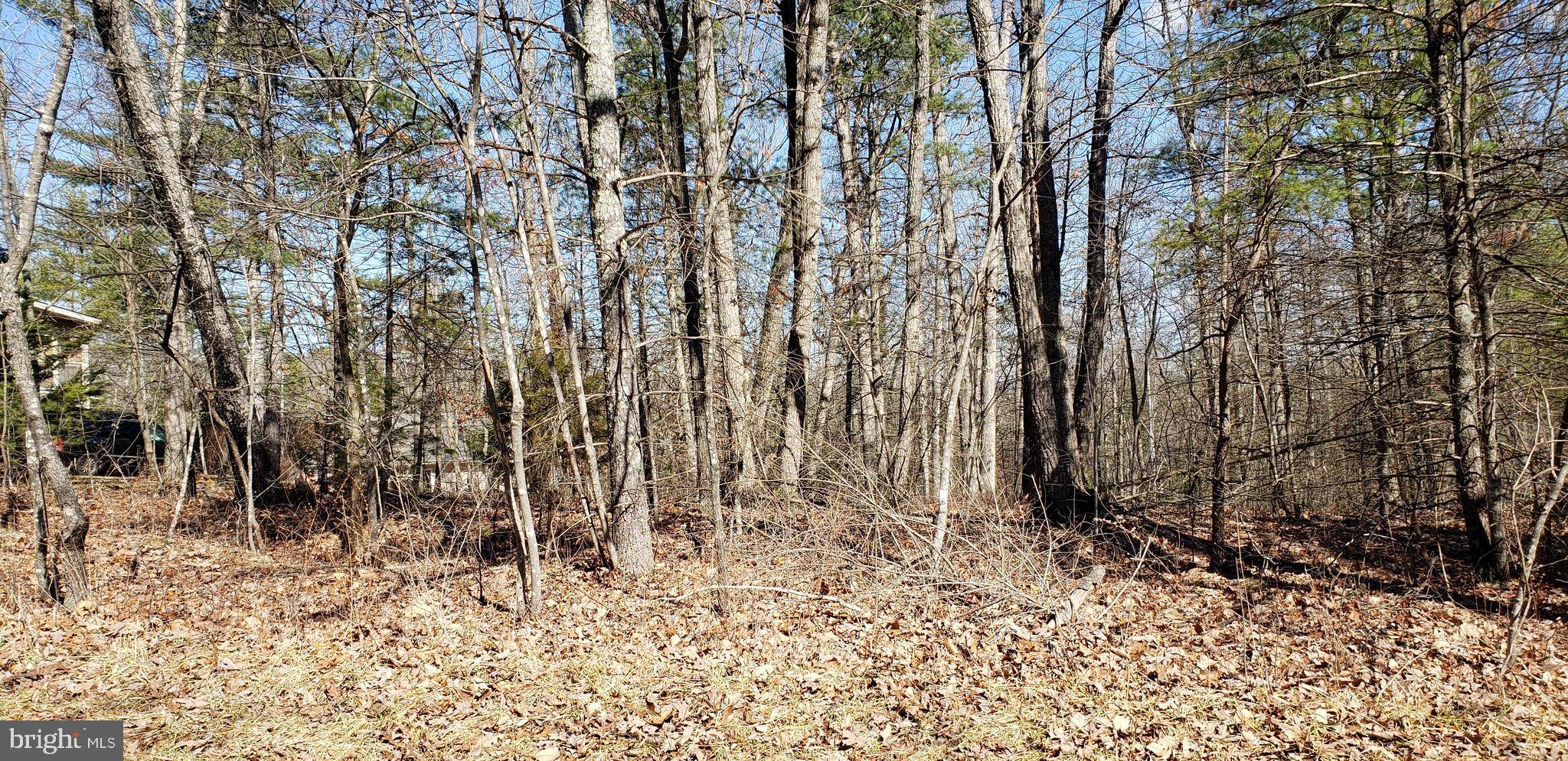 Mount Jackson, VA 22842,-LOT 244 COTTONWOOD DR