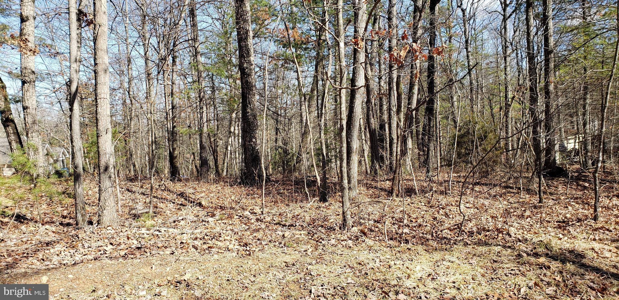 Mount Jackson, VA 22842,-LOT 244 COTTONWOOD DR