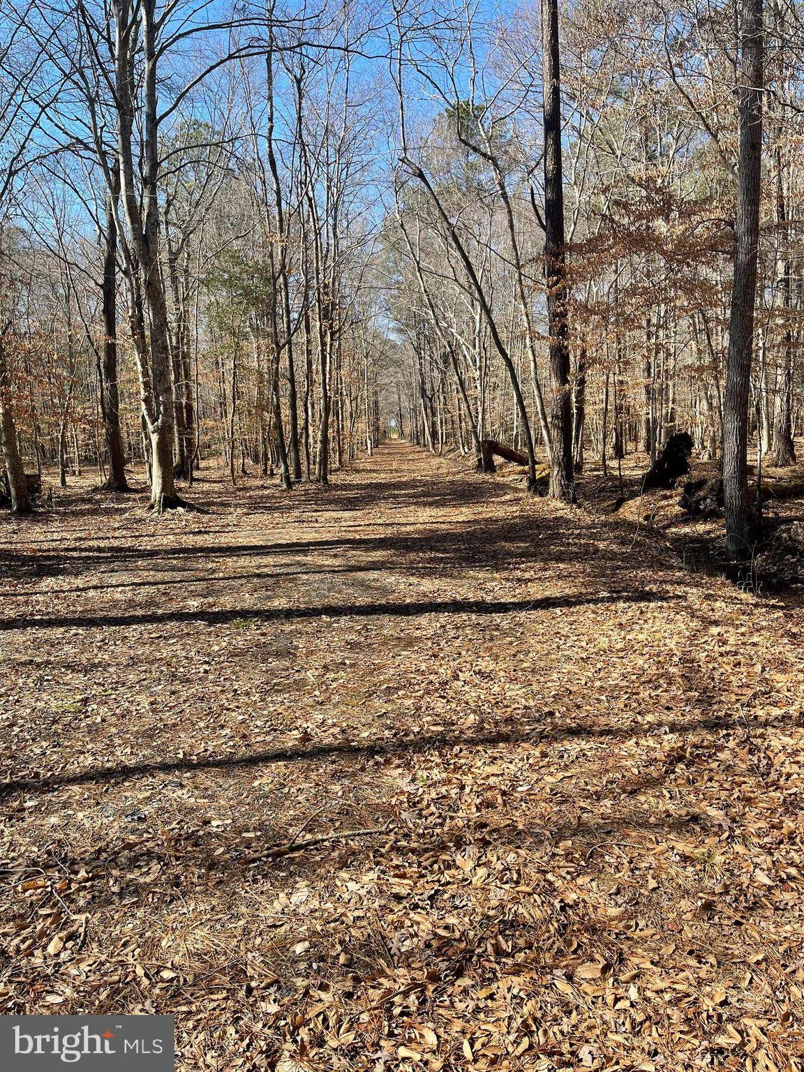 Marion Station, MD 21838,0 CHARLES CANNON