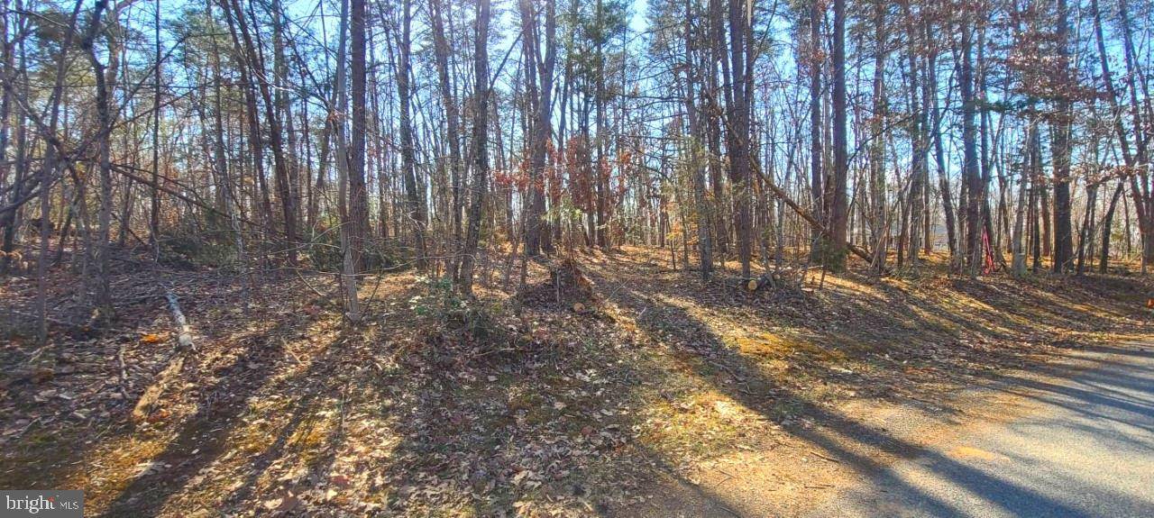 Mineral, VA 23117,LOT 23 PINE HARBOUR