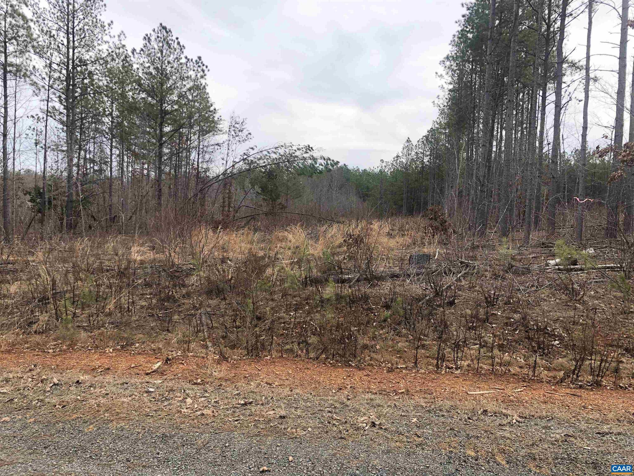 Scottsville, VA 24590,0 GEORGIA CREEK RD #LOT 68