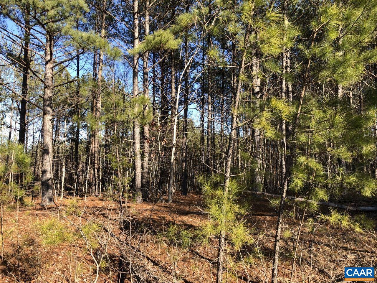 Scottsville, VA 24590,0 GEORGIA CREEK RD #LOT 72