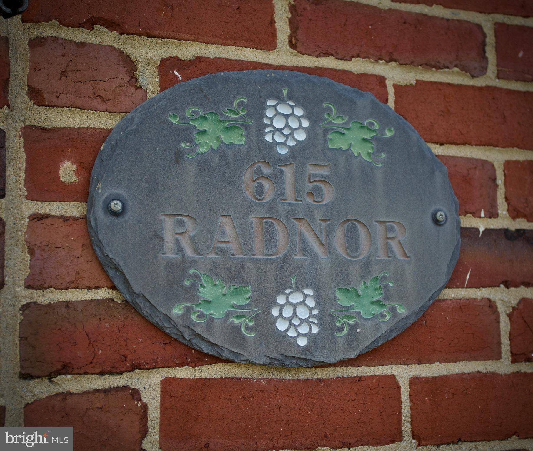 Haddonfield, NJ 08033,615 RADNOR AVE