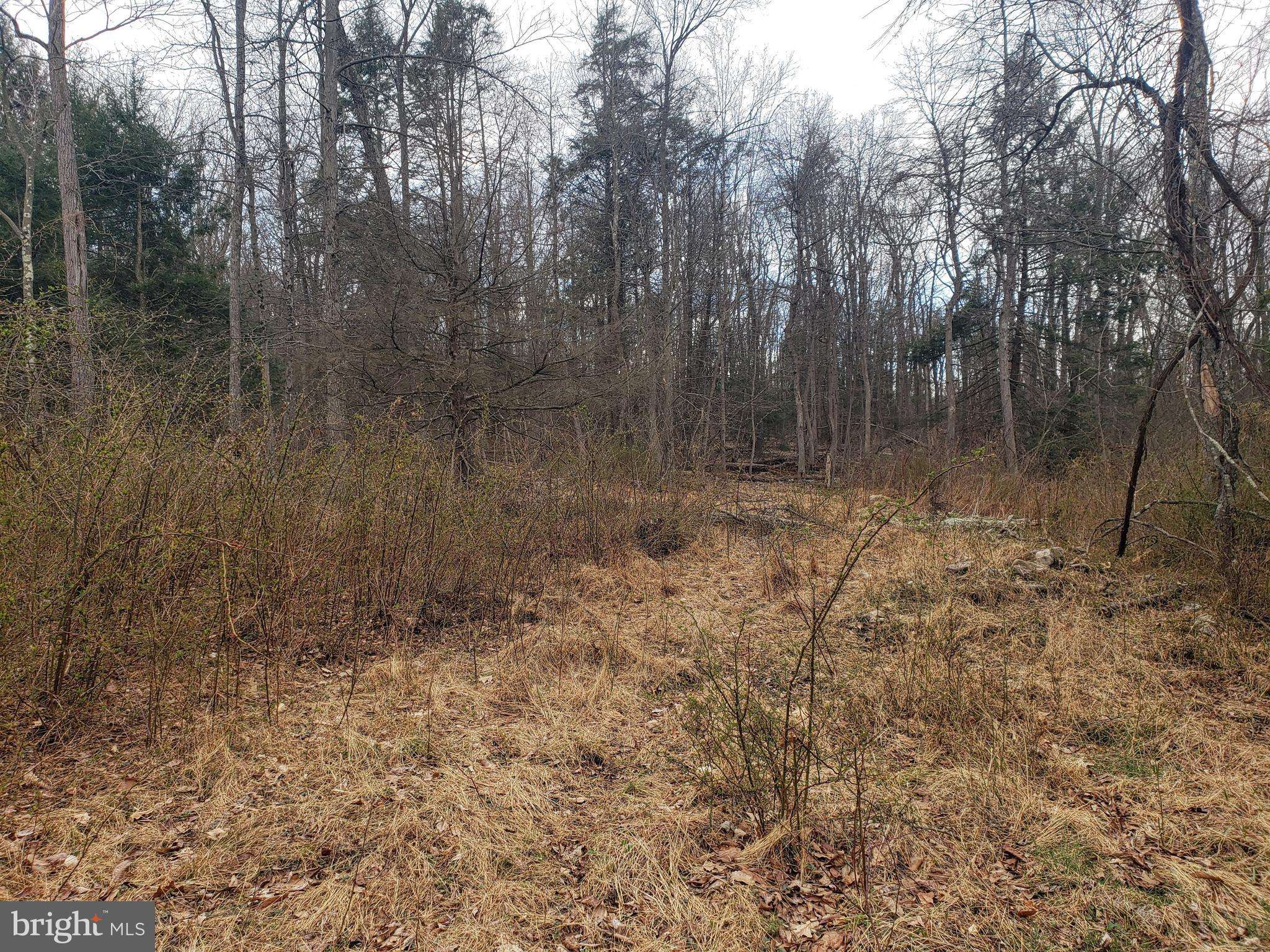 Port Royal, PA 17082,LOT 3 EAGLE LANE