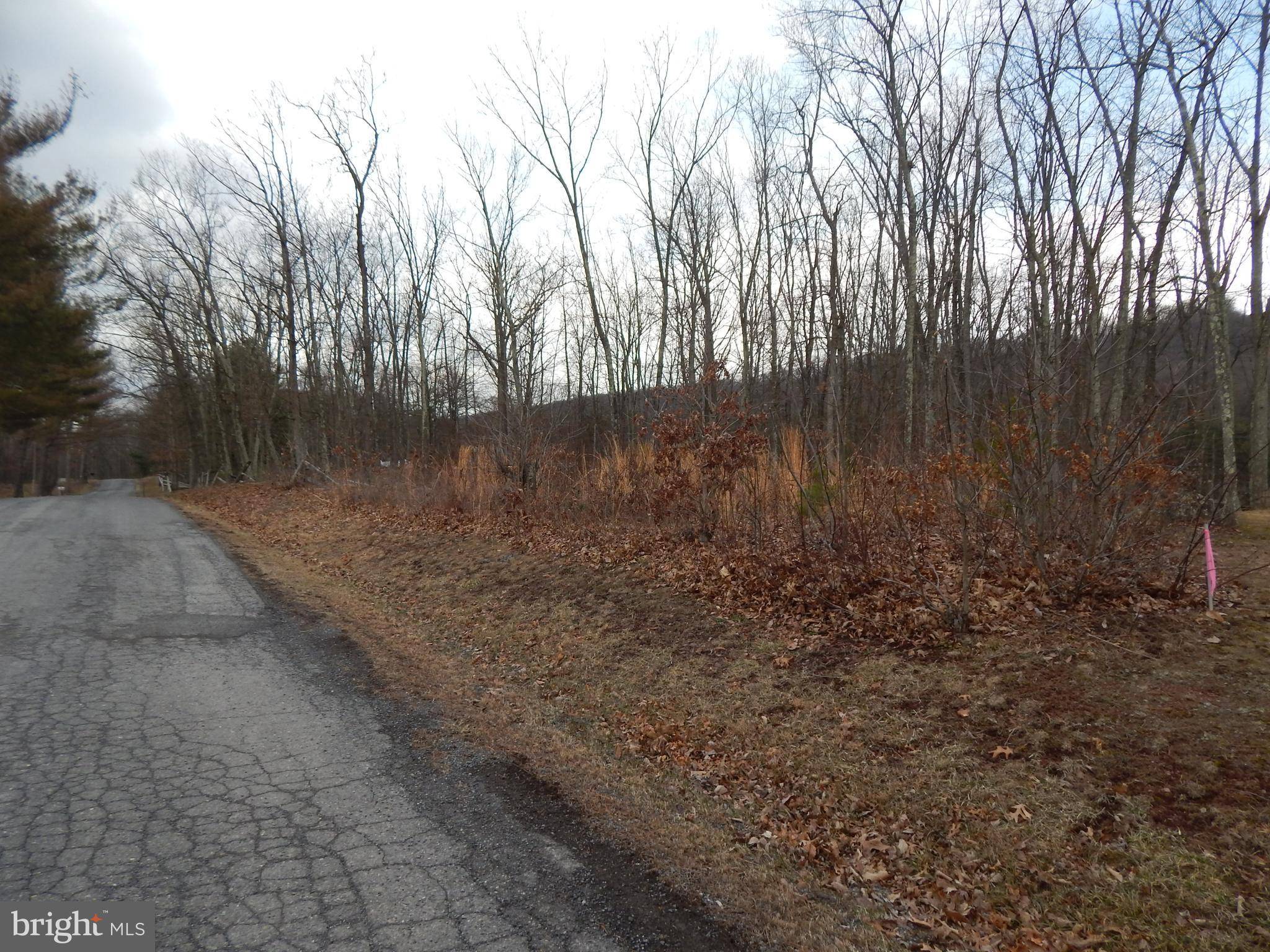 Great Cacapon, WV 25422,LOT 4 WILLET RUN WOODMONT ROAD