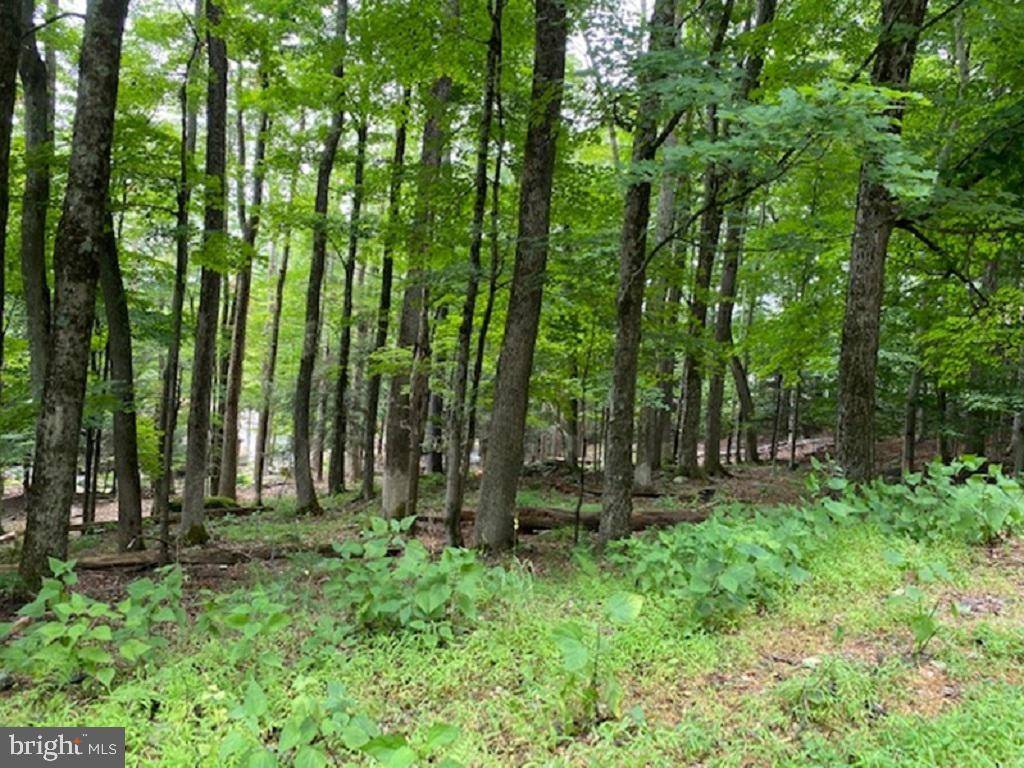 Lake Ariel, PA 18436,LOT 30 CEDAR DR