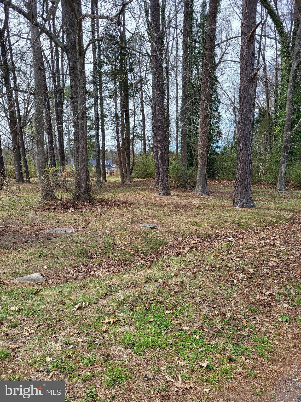 Colonial Beach, VA 22443,LOT 6 SAN JUAN