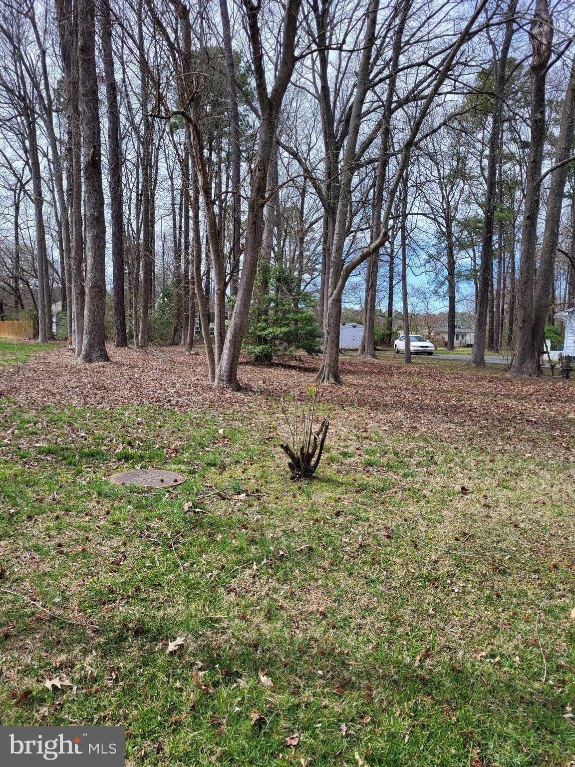 Colonial Beach, VA 22443,LOT 8 SHORE DR