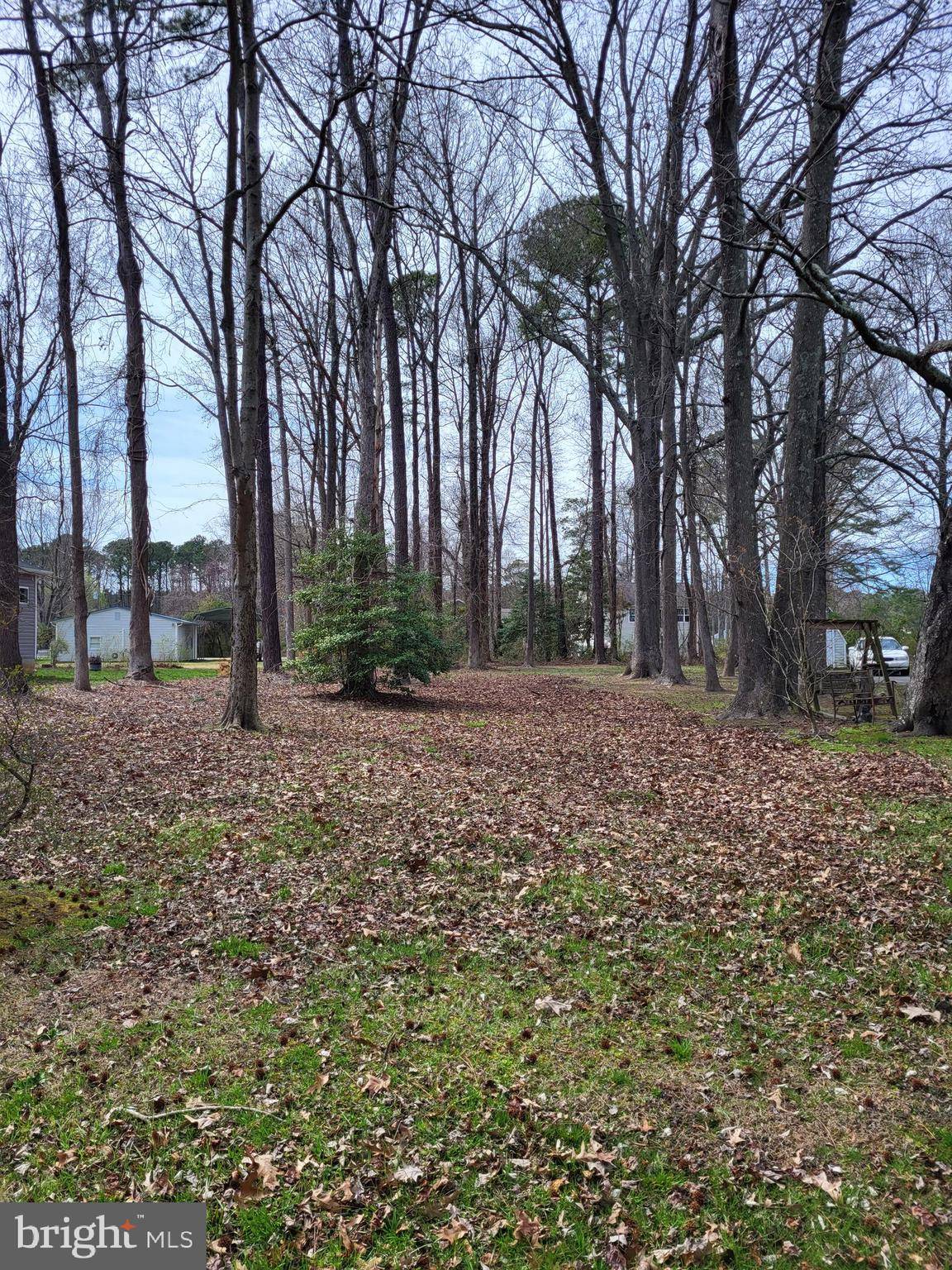 Colonial Beach, VA 22443,LOT 8 SHORE DR