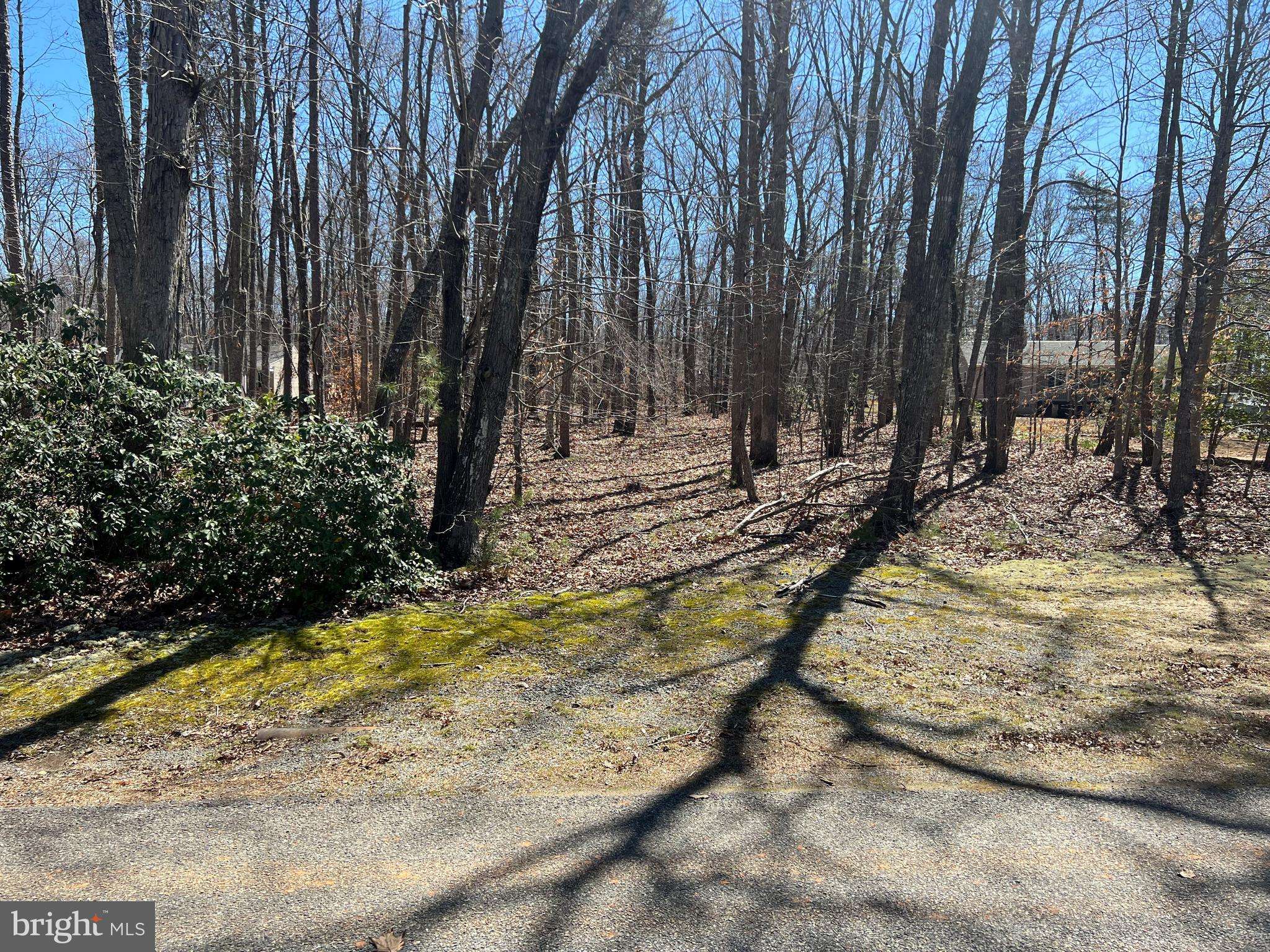 Mineral, VA 23117,LOT 18 PINE HARBOUR DRIVE