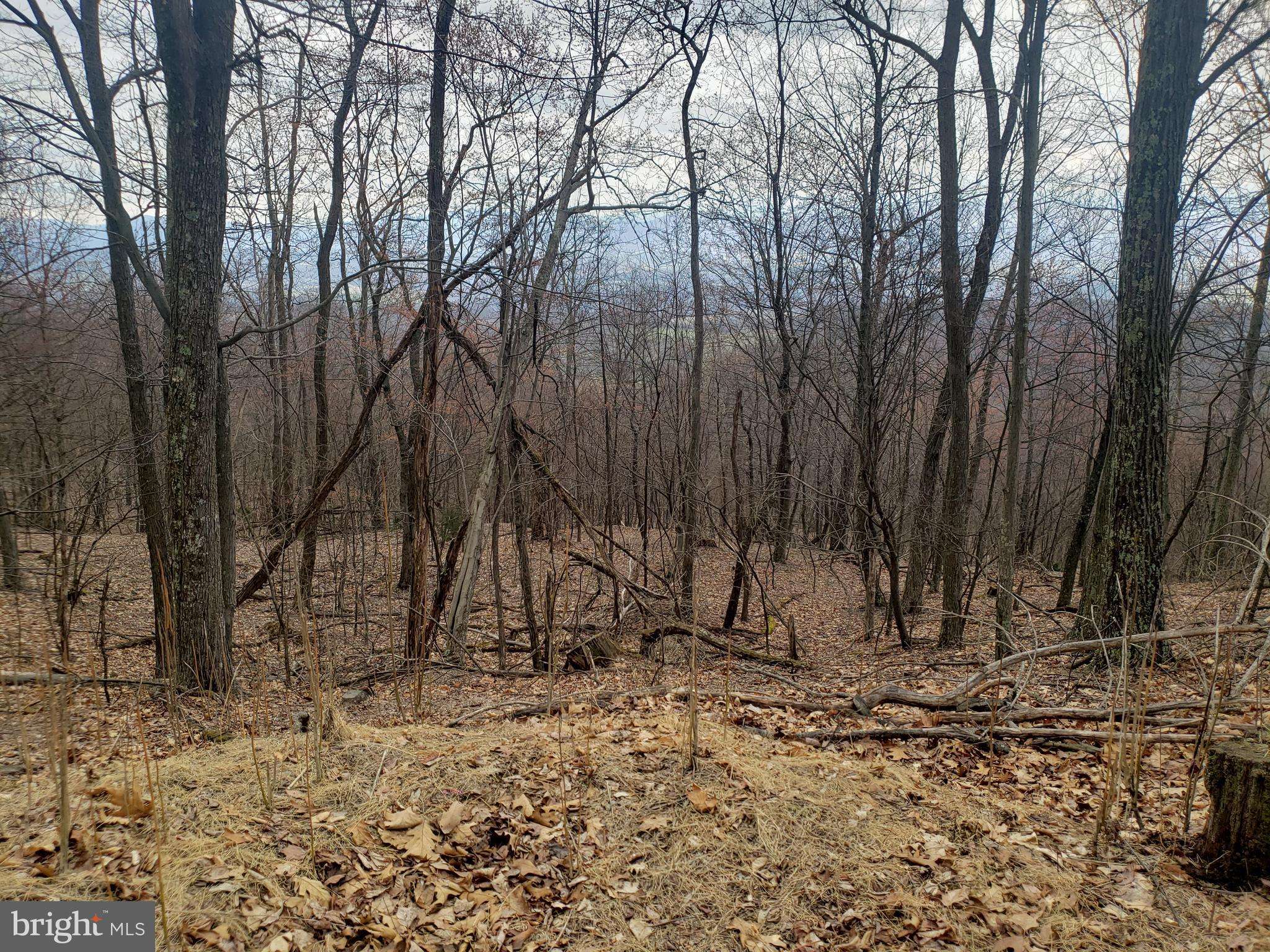 Petersburg, WV 26847,LOT 21 LITTLE MOUNTAIN /WRATCHFORD RD.