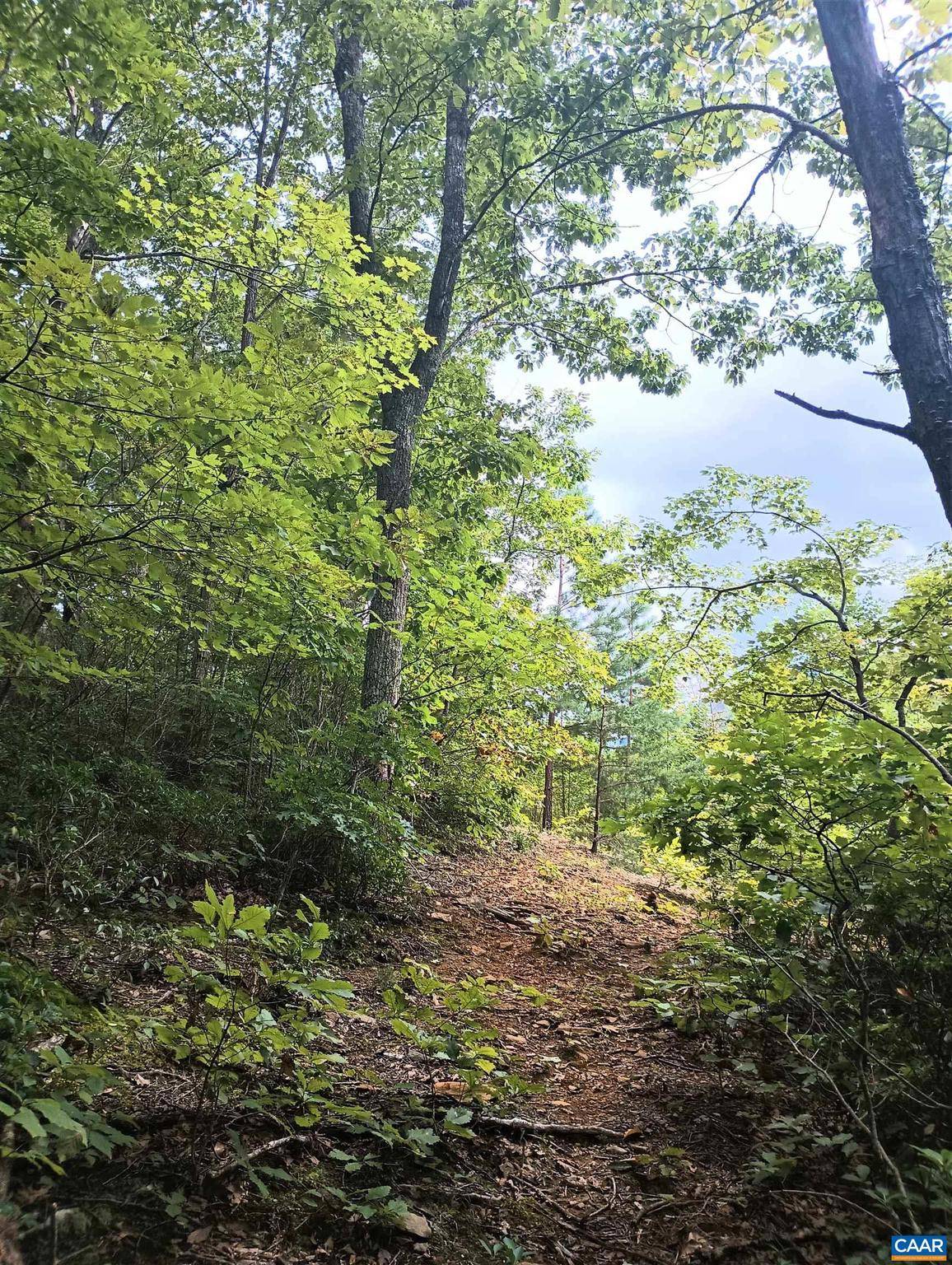 Nellysford, VA 22958,LOT 1 ROCKFISH HEIGHTS LN #1