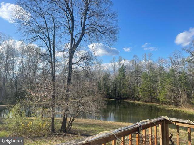 Rixeyville, VA 22737,10560 HIDDEN LAKE LN