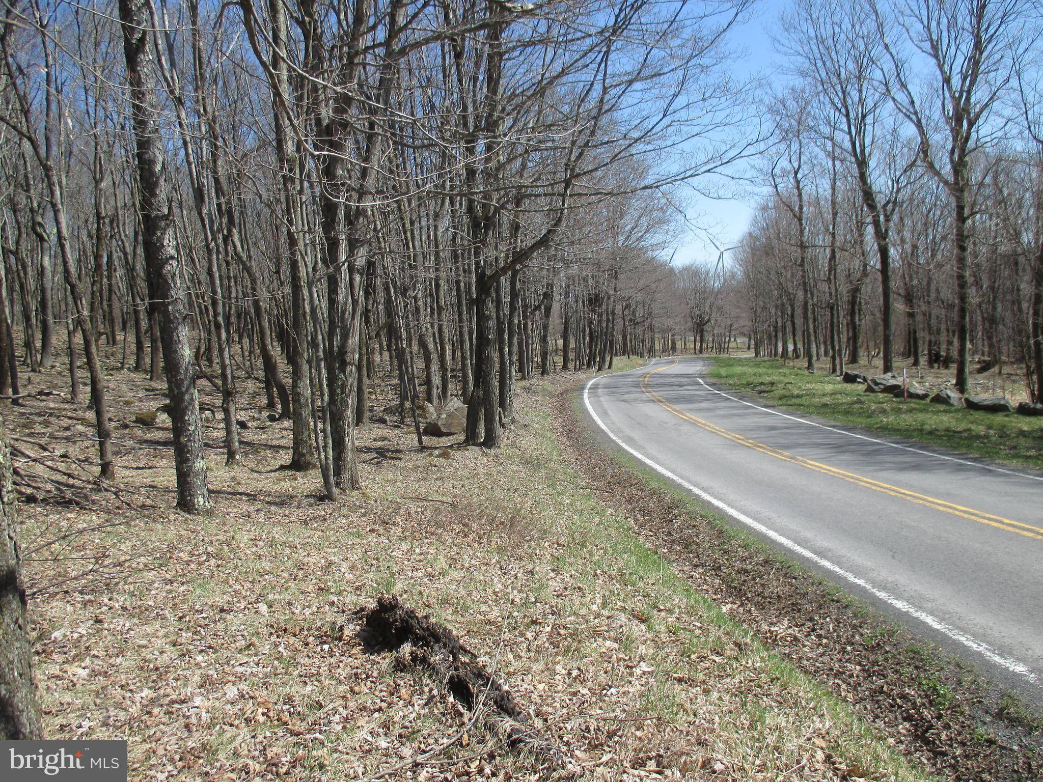 Mount Storm, WV 26739,MT LAKESIDE SUB DIVIDE MDWS