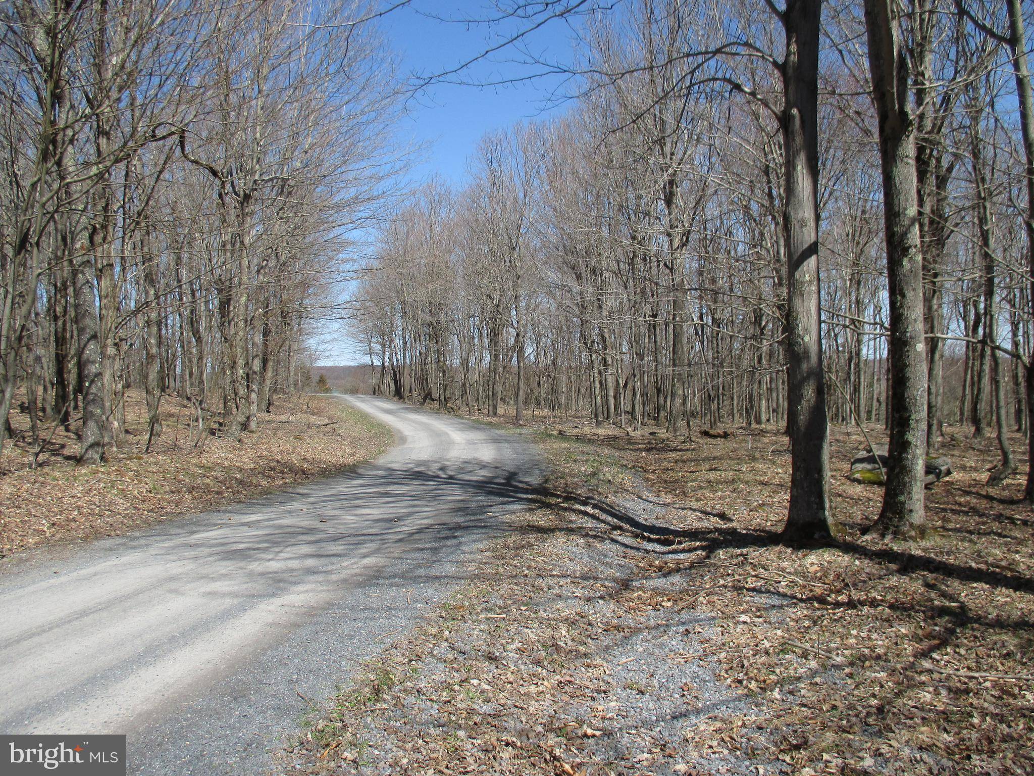 Mount Storm, WV 26739,MT LAKESIDE SUB DIVIDE MDWS