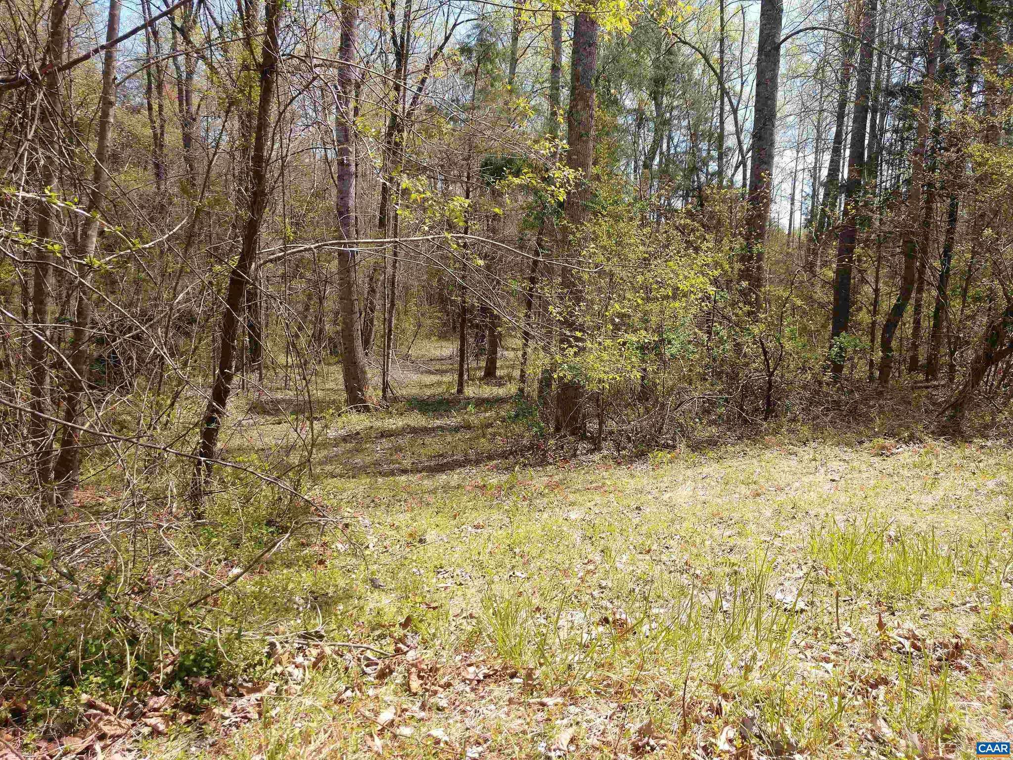 Shipman, VA 22971,LOT 5 MONTVUE LN #5