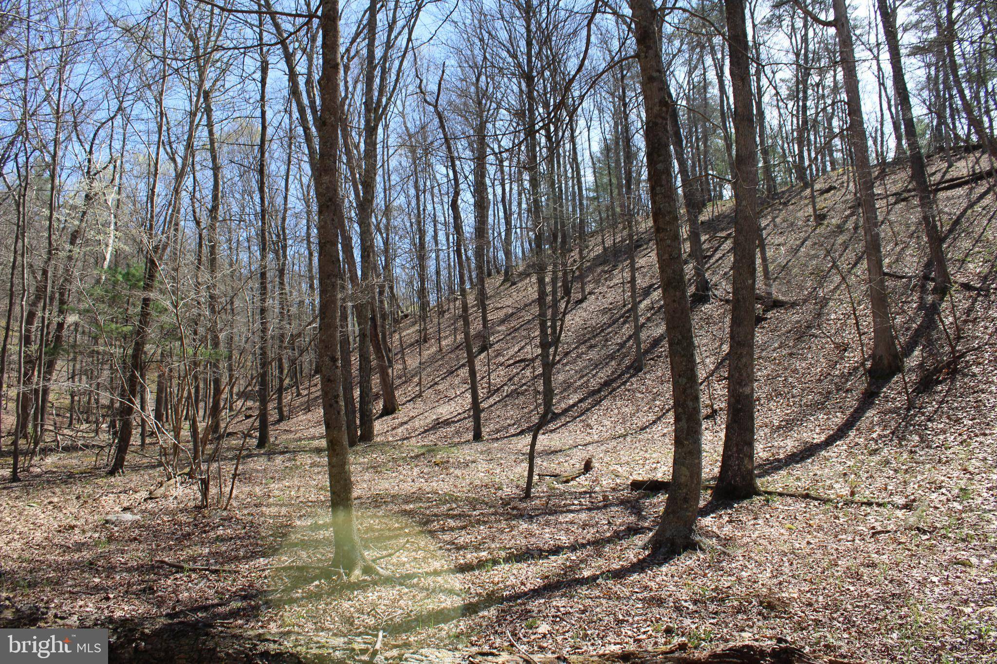 Paw Paw, WV 25434,LOT 15 REDSTONE MOUNTAIN